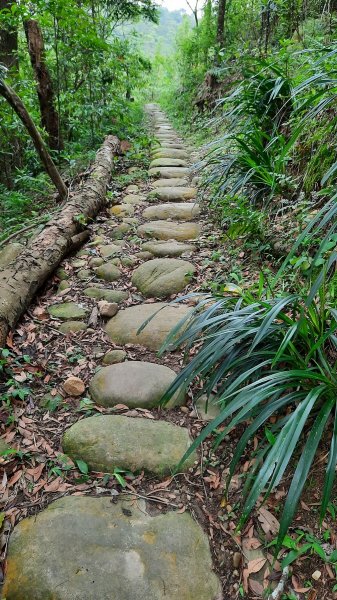 《苗栗》挑炭古道｜三通嶺探長潭坑山大坑尾山二連峰O繞202204171678385