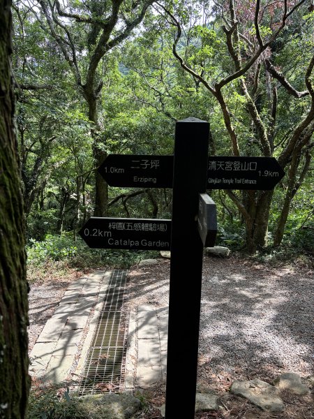面天山、向天山、向天池2921069