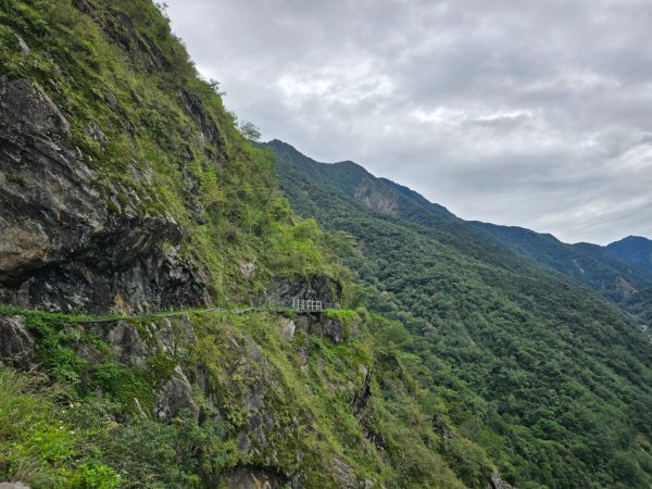 觀高山屋／龍貓公車／八通關山／八通關山西峰2927373