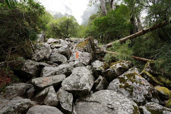 南投 信義 玉山前峰2352069