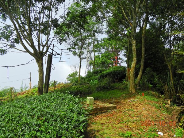 嘉義 番路 隙頂山1485405