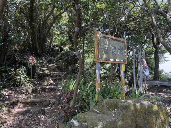 2025/06/26 鳶山 鳶山彩壁 鳶尾山3038644