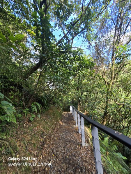 2025-11-30微笑山線：【五分山系】望古瀑布段2950246