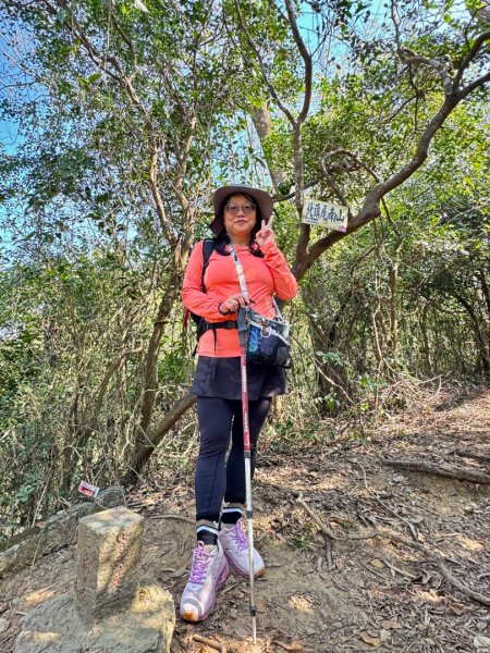 旗尾山(小百岳#)722765416