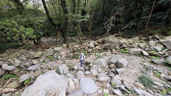 享受台北近郊陽明山小秘境楓林瀑布的清新芬多精2996541