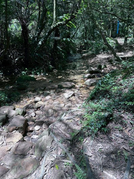 台北大縱走第四段2766850