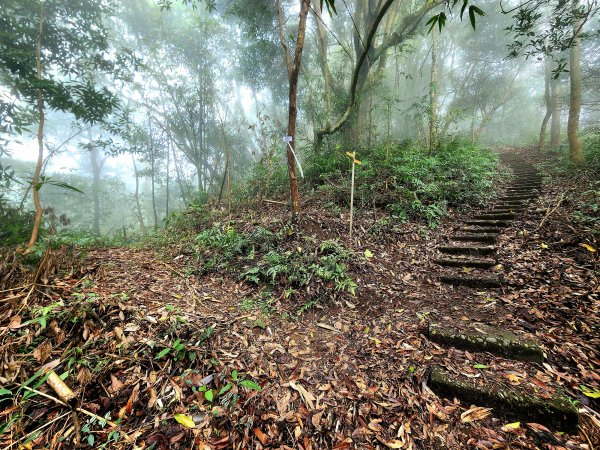 小百岳集起來-關刀山2182868