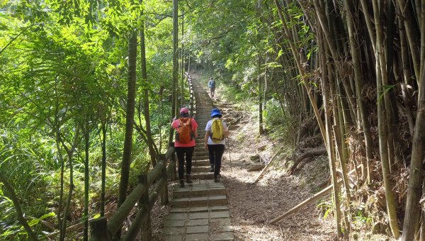 (姨婆趴趴走)第十三集:桃園龜山福源山步道、大棟山縱走2191699