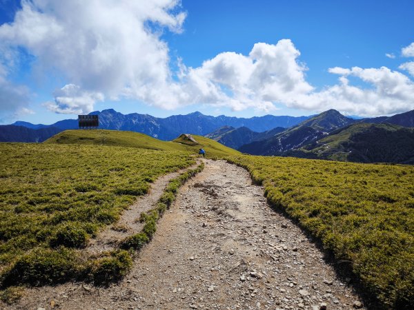 2025-11-07 合歡北峰、小溪營地、鷹石尖、北峰名樹2934341