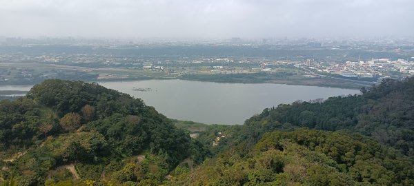 五十分山+福德坑山-2022/02/261619396