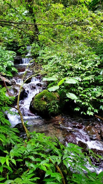 抹茶山，聖母登山步道，隆隆山，福卯古道，水柳腳登山步道，觀音台步道，北勢溪自行車道1742234