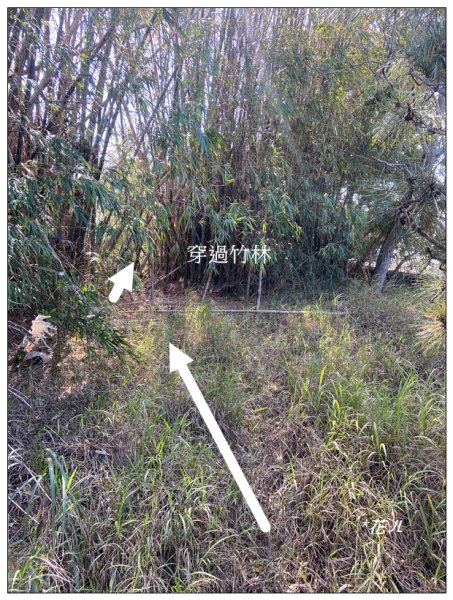 將軍山 (苗栗市)2691226