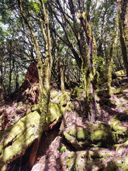 🥵20231107南一段會繞過🤷忘記的溪南山2340088