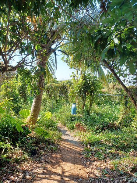 【彰化員林】視野豐富的郊山步道。 大峰巷步道x十八觀音步道x挑水古道x碧山古道O繞2771880