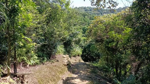 瑞芳區瑞竹步道-大坑埔山-月眉砲台-月眉山-長命山-大水堀山3081563