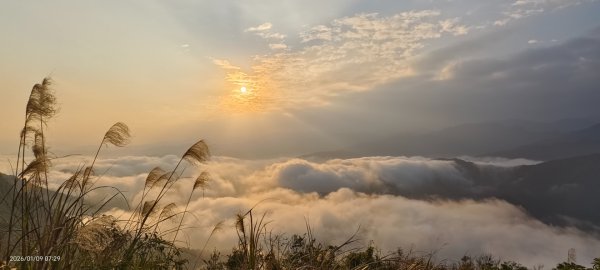 #翡翠水庫壩頂 #雲海 #日出 #陽明公園 #夕陽1/92979374