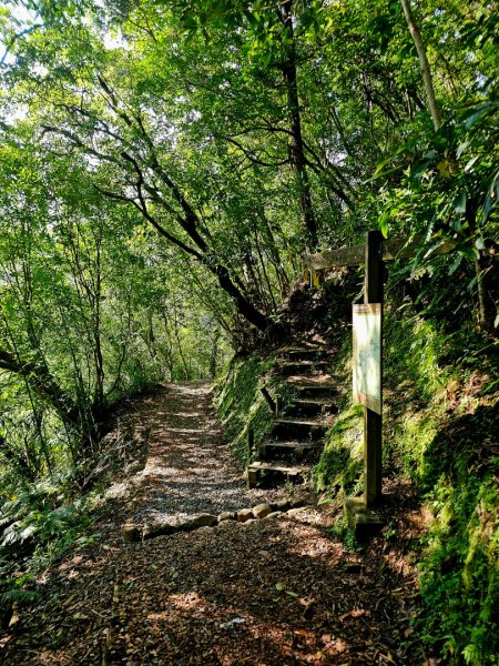 (五分山系)望古瀑布-2025微笑山線大縱走尋寶集章任務2855265