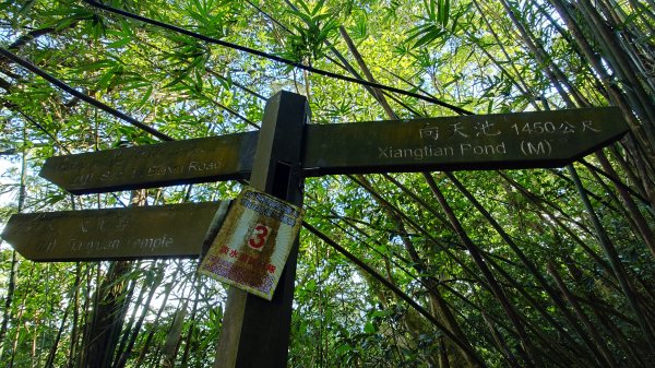 20260125 陽明山前後山健行(無極天元宮~山仔頂步道.向天池.向天山.面天山.二子坪)2997957