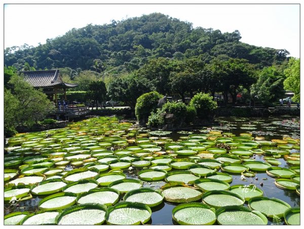 雙溪公園步道684462