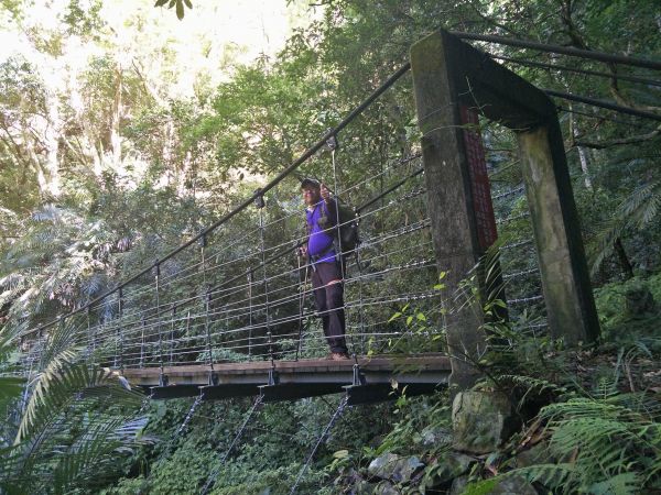 東卯山東南稜串德芙蘭步道364265