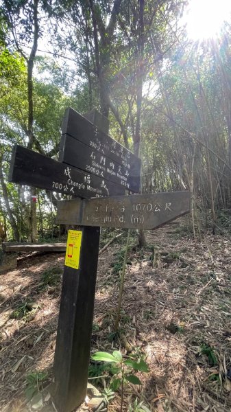 微笑山⛰️線-大棟-二格山-五分山-天上山-鳶山💎12條步道完成💙2837222