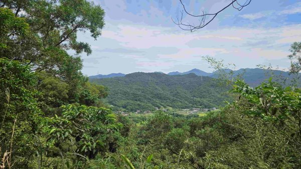 20250601梅竹蹊山-480峰-苕谷坑山2803378