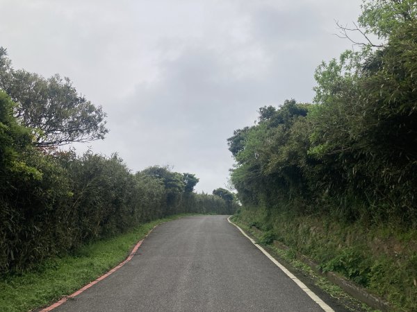 大屯山登山步道2472564