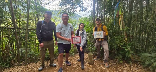 20260308內灣三山(內灣山-麥樹仁山南峰-麥樹仁山-舊砲台山-加那排山-白石湖山)3013418