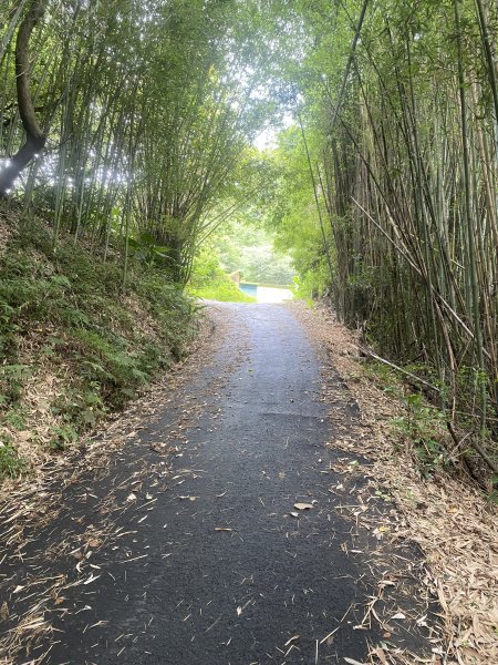 20250614-《皮皮獅秘密任務啟動！搶先探路三段崎古道｜森遊竹縣鐵粉任務大公開》2852019