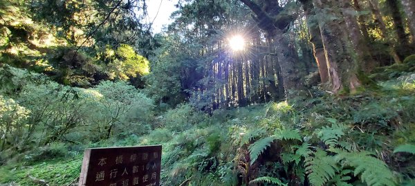 20241127特富野古道+梯子板山2659314