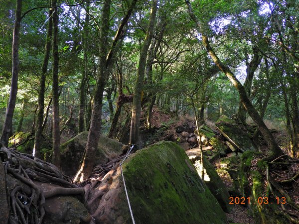 苗栗 南庄 加里山、哈堪尼山1304160