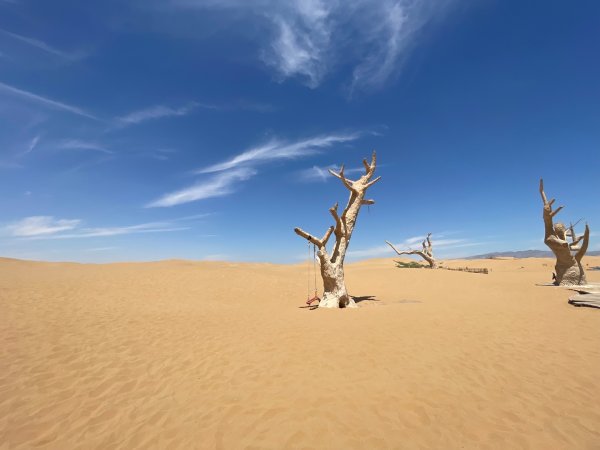 多彩塞北阿拉善.騰格里沙漠六湖穿越2919967