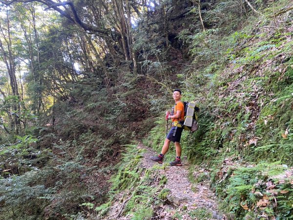 雙龍林道-巒安堂-西巒大山【一切都很美好 除了肩膀之外】2567830