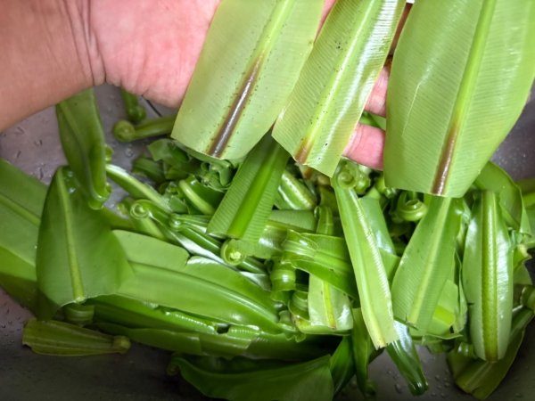 戲水（耘雲姊2786122