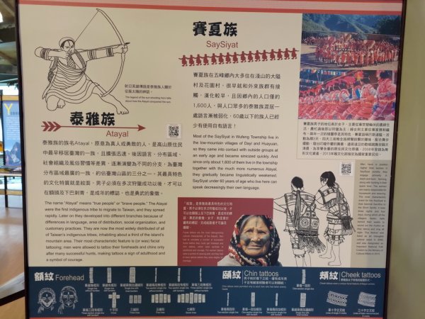 【新竹縣五峰鄉】雲霧步道2833763