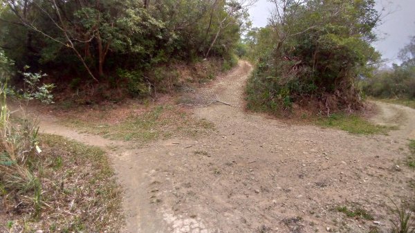 力里圓山森林步道 好熱啊～560561