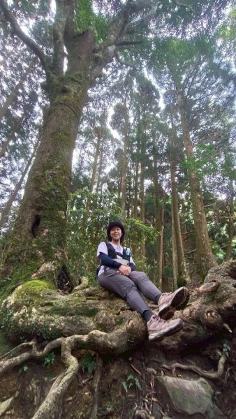 加里山（大坪登山口-杜鵑嶺-避難小屋）2767758