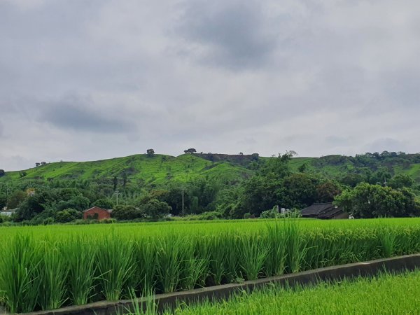 知高圳步道1064540