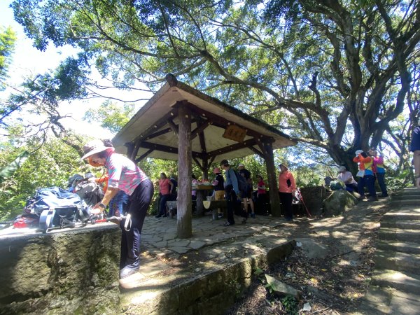 內雙溪的消暑密碼｜走一趟坪頂古圳就懂2873114