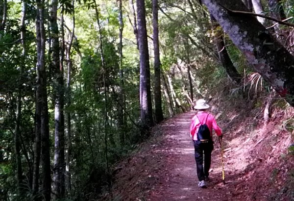 [88阿嬤遠足]霞喀羅古道...養老~馬鞍