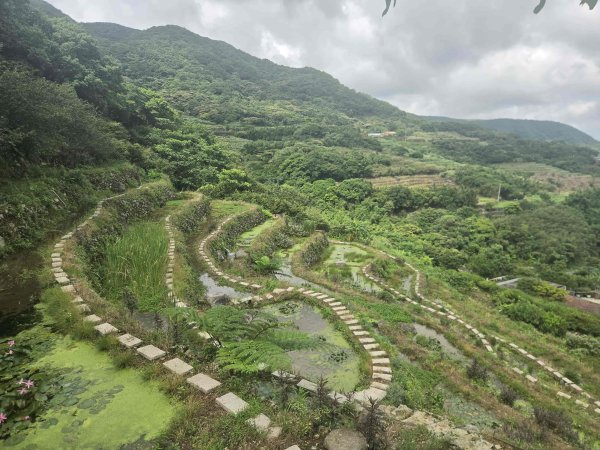 20260826青山瀑布步道-老梅瀑布-尖山湖步道-阡陌步道O型3113885