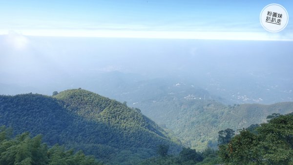 阿里山山脈越嶺步道大串走D2543674