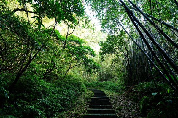 新北 平溪 頂子寮山、五分山3043955