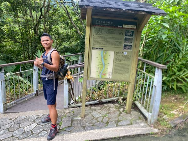 南庄.蓬萊溪護魚步道.四十二份坪步道.小東河步道【差點一事無成的七月暑假】2849358