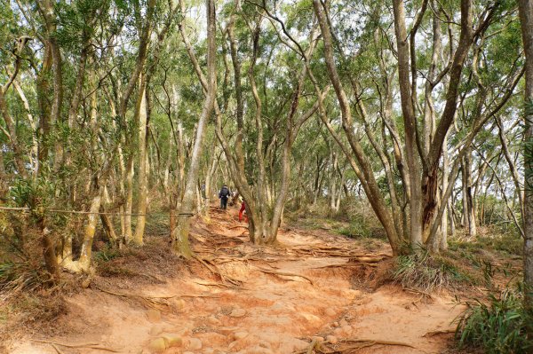 苗栗 三義 火炎山、南火炎山3020881