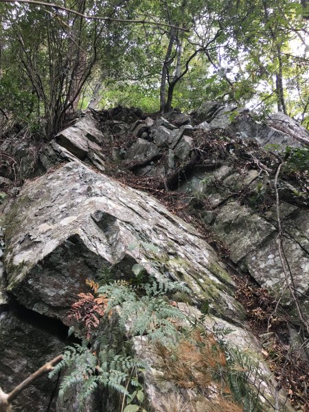 20161119_谷關七雄之四-波津加山873769