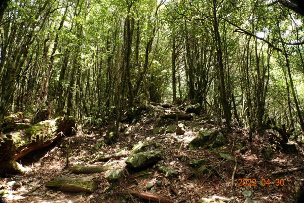 臺中 和平 鞍馬山1697277