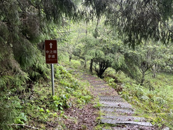 [玉山尋寶任務-02/12] 2025_0727 中之關、天池步道/南橫公路2847624
