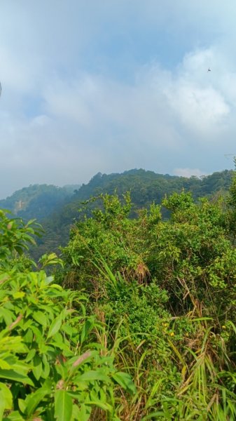 頭嵙山（小百岳 no.41）&石苓湖山O型親子團2326164