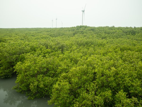 芳苑海空步道2961215